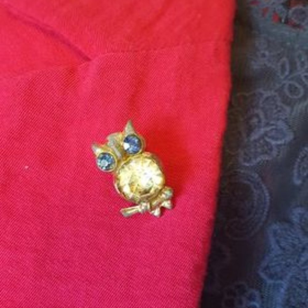 Vintage Owl Pin/Brooch Rhinestone & Blue Gems